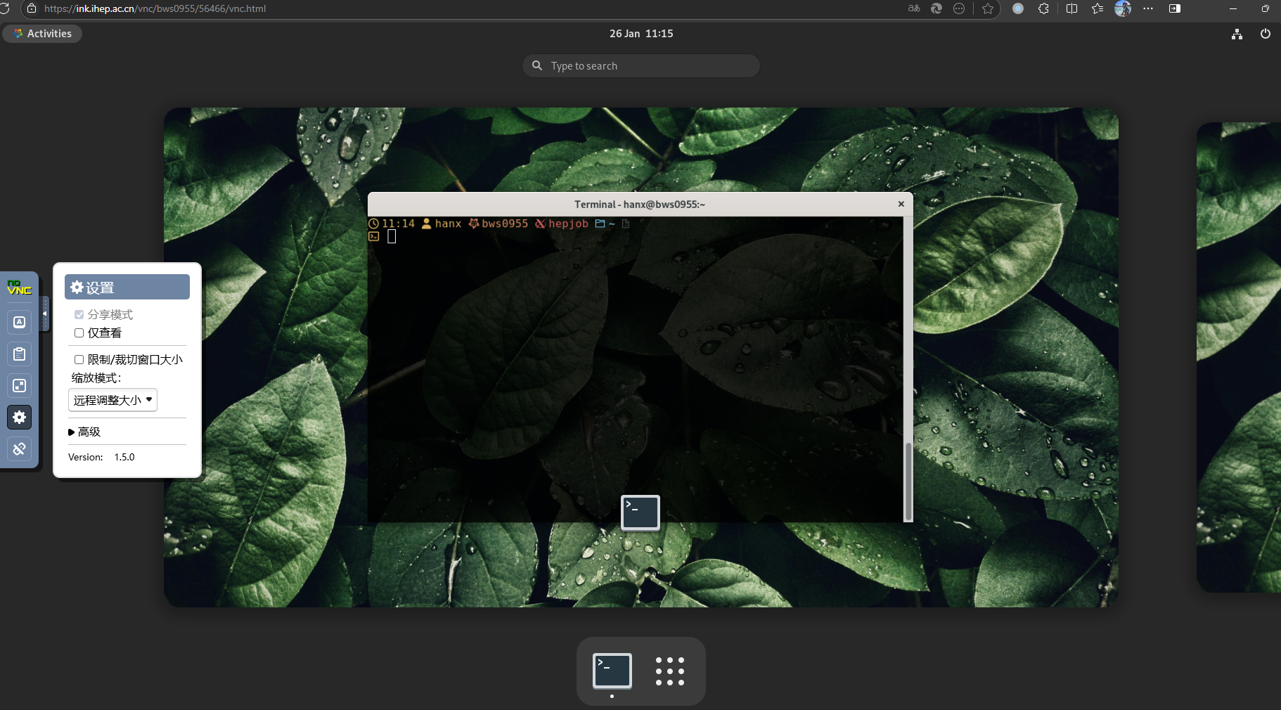 vnc